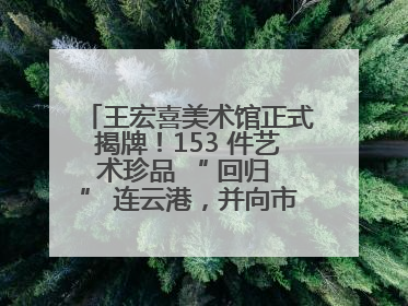 王宏喜美术馆正式揭牌！153 件艺术珍品 “ 回归 ” 连云港，并向市民免费开放