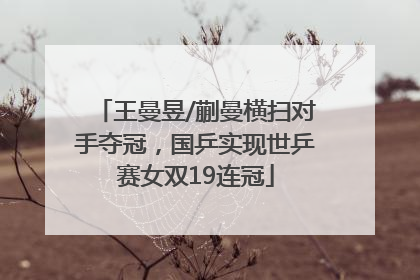 王曼昱/蒯曼横扫对手夺冠，国乒实现世乒赛女双19连冠