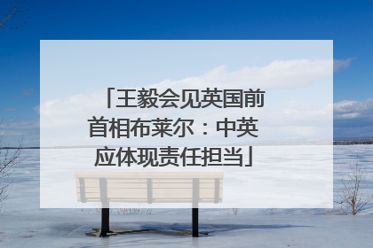 王毅会见英国前首相布莱尔：中英应体现责任担当