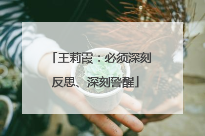 王莉霞：必须深刻反思、深刻警醒