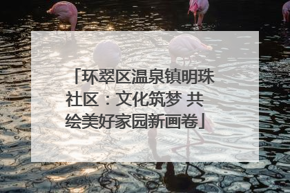 环翠区温泉镇明珠社区：文化筑梦 共绘美好家园新画卷
