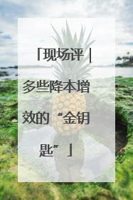 现场评｜多些降本增效的“金钥匙”