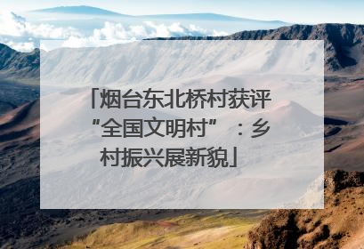 烟台东北桥村获评“全国文明村”：乡村振兴展新貌