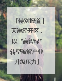 特别报道｜天津经开区：以“高智绿”转型破解产业升级压力