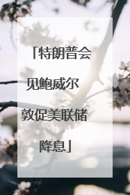 特朗普会见鲍威尔 敦促美联储降息
