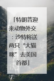 特朗普迎来动物外交：沙特将送两只“大猫咪”去美国首都