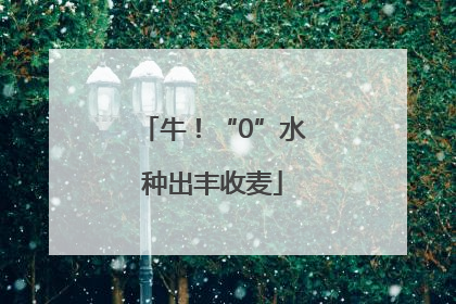 牛！“0”水种出丰收麦