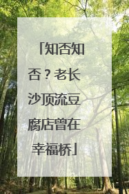 知否知否？老长沙顶流豆腐店曾在幸福桥