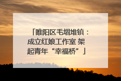 睢阳区毛堌堆镇：成立红娘工作室 架起青年“幸福桥”