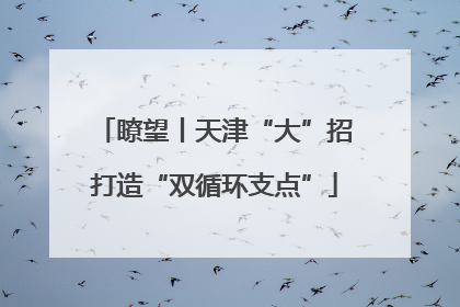 瞭望丨天津“大”招打造“双循环支点”