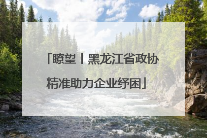 瞭望丨黑龙江省政协精准助力企业纾困