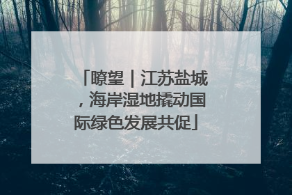 瞭望｜江苏盐城，海岸湿地撬动国际绿色发展共促