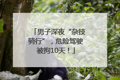 男子深夜“杂技骑行”，危险驾驶被拘10天！