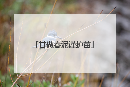 甘做春泥谨护苗