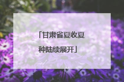 甘肃省夏收夏种陆续展开