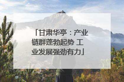甘肃华亭：产业链群蓬勃起势 工业发展强劲有力