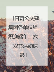 甘肃公交建集团各单位组织迎端午、六一双节活动掠影
