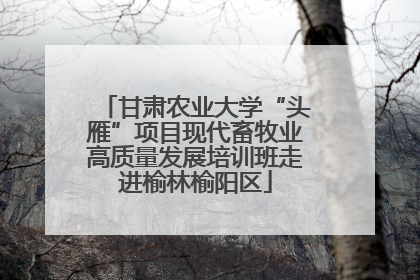 甘肃农业大学“头雁”项目现代畜牧业高质量发展培训班走进榆林榆阳区