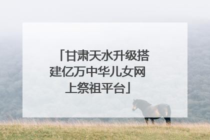 甘肃天水升级搭建亿万中华儿女网上祭祖平台
