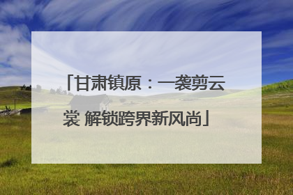 甘肃镇原：一袭剪云裳 解锁跨界新风尚