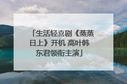 生活轻喜剧《蒸蒸日上》开机 高叶韩东君领衔主演