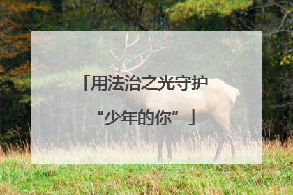 用法治之光守护“少年的你”