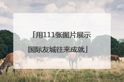 用111张图片展示国际友城往来成就