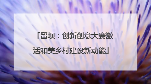 留坝：创新创意大赛激活和美乡村建设新动能