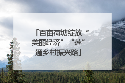 百亩荷塘绽放“美丽经济”“莲”通乡村振兴路