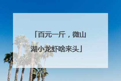 百元一斤，微山湖小龙虾啥来头