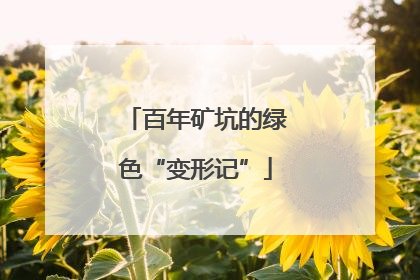 百年矿坑的绿色“变形记”