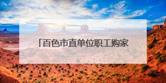 百色市直单位职工购家电最高补60％，相关负责人：仅200个名额，不会严格筛查身份