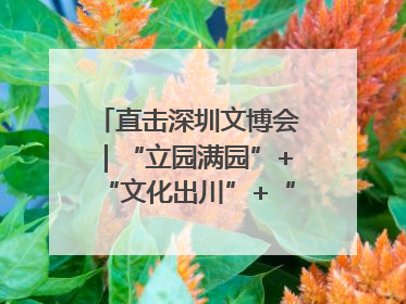 直击深圳文博会｜“立园满园”+“文化出川”+“科技赋能”，成都传媒发布三大文创领域合作清单
