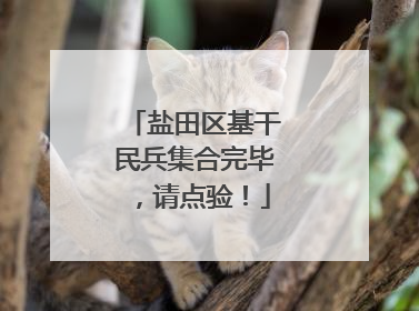 盐田区基干民兵集合完毕，请点验！