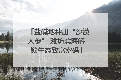 盐碱地种出“沙漠人参” 潍坊滨海解锁生态致富密码