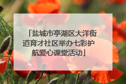 盐城市亭湖区大洋街道育才社区举办七彩护航爱心课堂活动