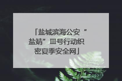 盐城滨海公安“盐靖”Ⅲ号行动织密夏季安全网