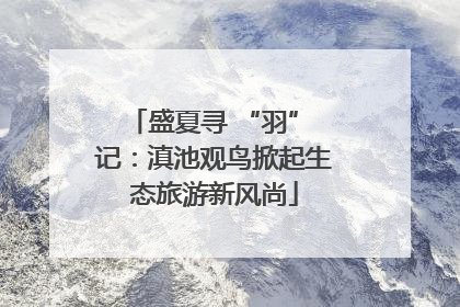 盛夏寻 “羽” 记：滇池观鸟掀起生态旅游新风尚