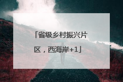 省级乡村振兴片区，西海岸+1