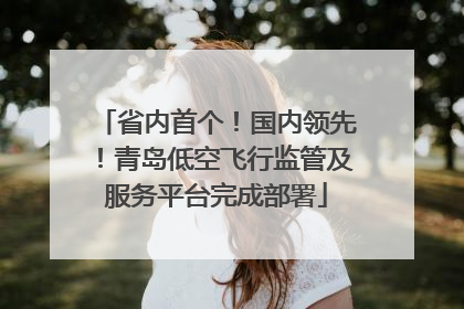 省内首个！国内领先！青岛低空飞行监管及服务平台完成部署
