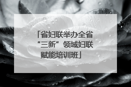 省妇联举办全省“三新”领域妇联赋能培训班