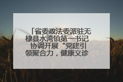 省委政法委派驻无棣县水湾镇第一书记 协调开展“党建引领聚合力，健康义诊惠乡亲”义诊活动