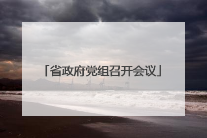 省政府党组召开会议