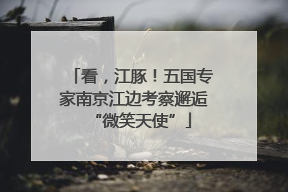 看，江豚！五国专家南京江边考察邂逅“微笑天使”