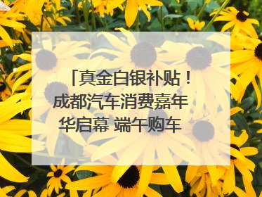 真金白银补贴！成都汽车消费嘉年华启幕 端午购车正当时｜网络中国节·端午