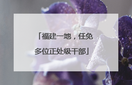 福建一地，任免多位正处级干部