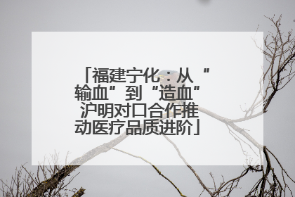 福建宁化：从“输血”到“造血” 沪明对口合作推动医疗品质进阶