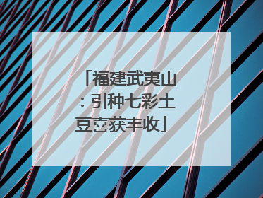 福建武夷山：引种七彩土豆喜获丰收