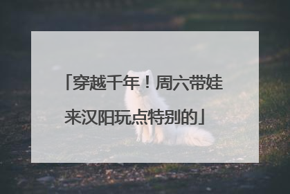 穿越千年！周六带娃来汉阳玩点特别的