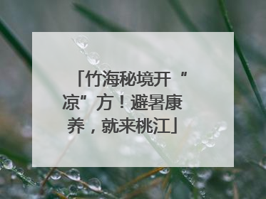 竹海秘境开“凉”方！避暑康养，就来桃江